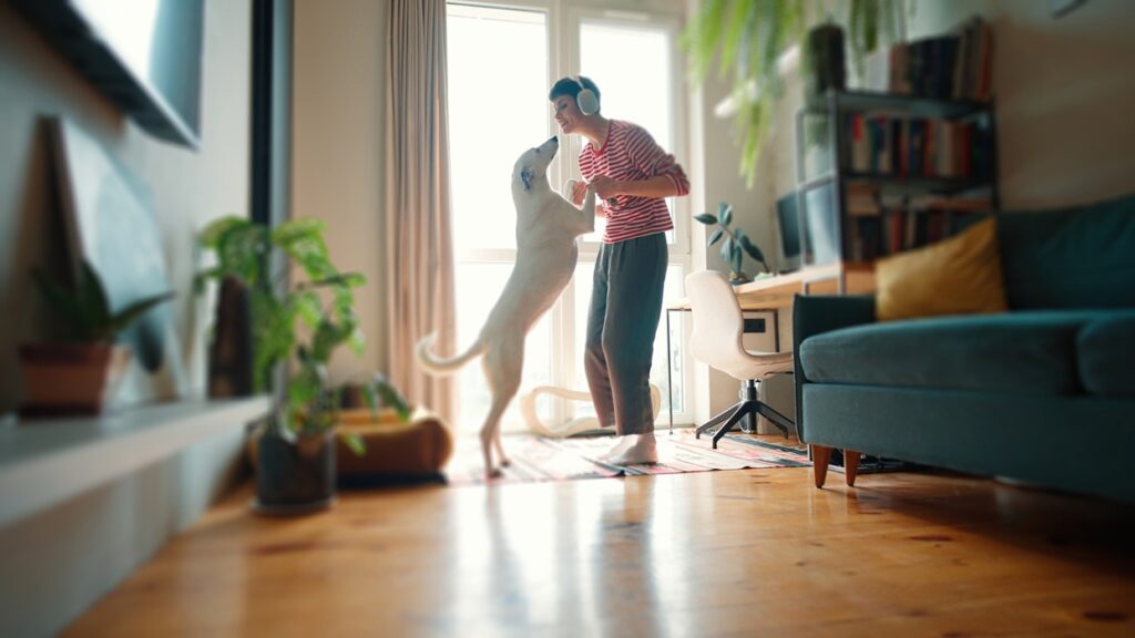 Glassolutions-jak zmniejszyc halas w domu-cisza w domu-szyby do okien, fot. Saint-Gobain