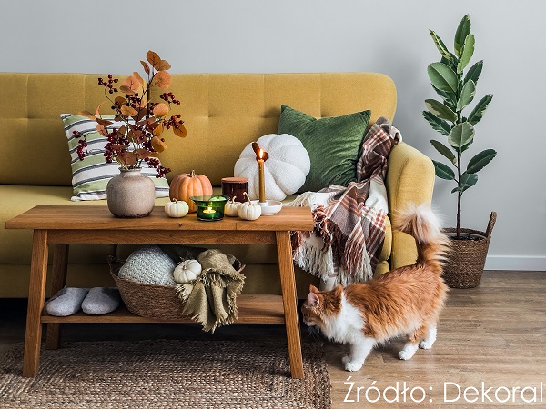 Dekoral-Effect-3in1-Szary-idealny, fot. Dekoral