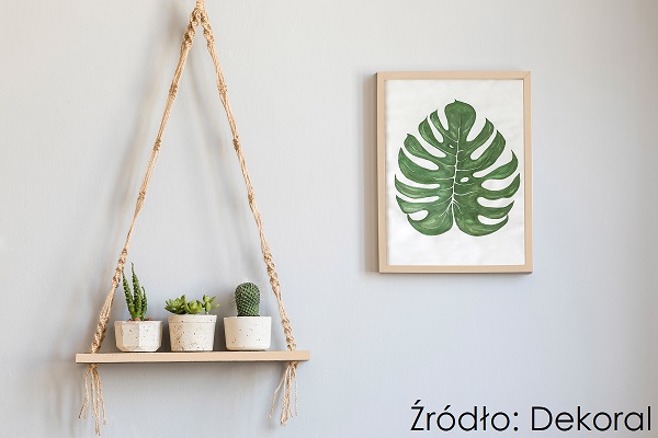 Dekoral-Express-Top_Musztarda-po-obiedzie, fot. Dekoral