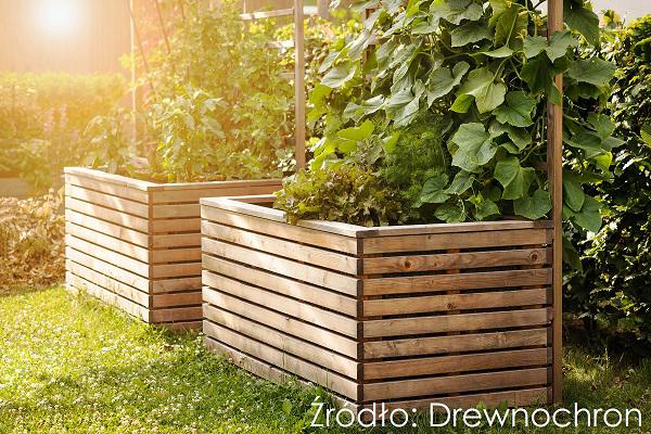 Fot. Drewnochron
