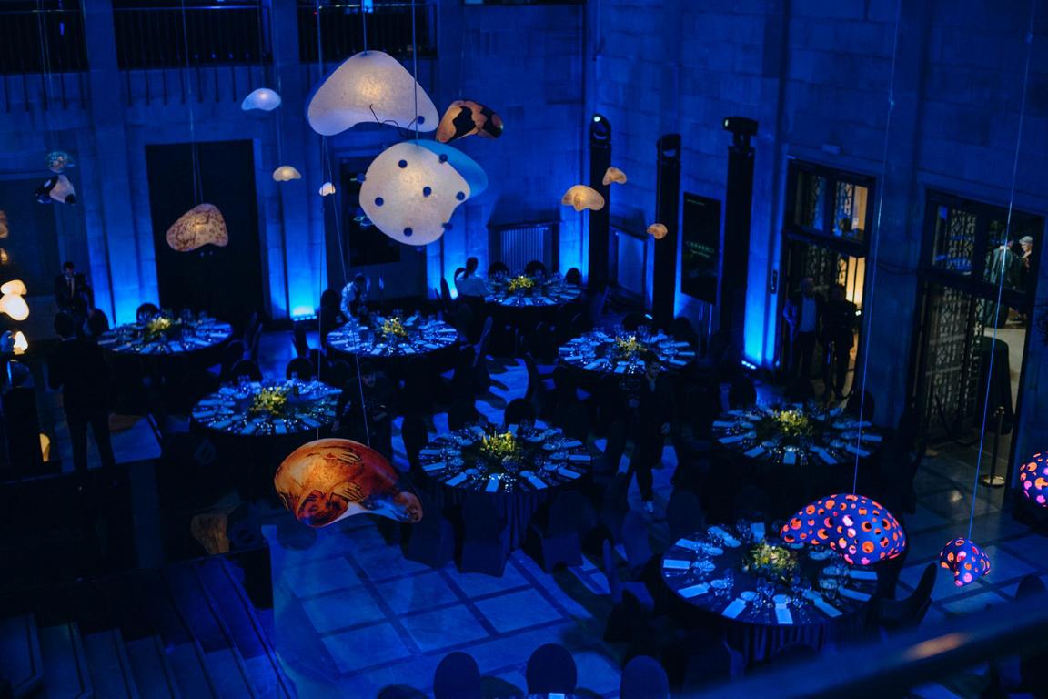 SPRAGNIENI PIĘKNA. TERAZ_fot. Jacek Waszkiewicz, Teodor Klepczyński