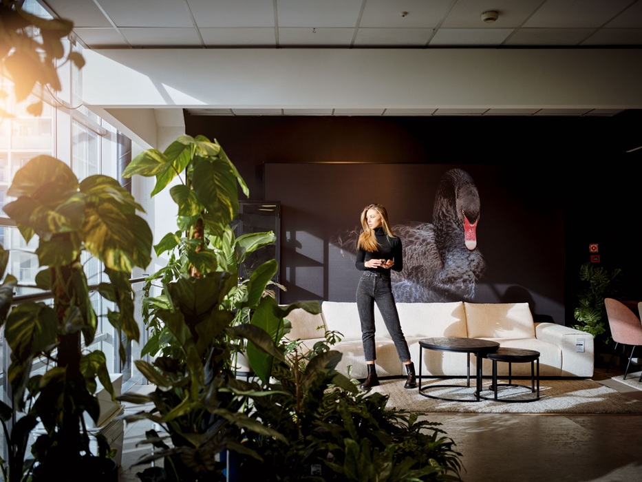 Galeria_Wnetrz_DOMAR_Archibrunch, fot. Galeria Wnętrz DOMAR