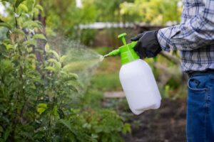 Do czego przydaje się opryskiwacz ciśnieniowy na działce i przy domu?