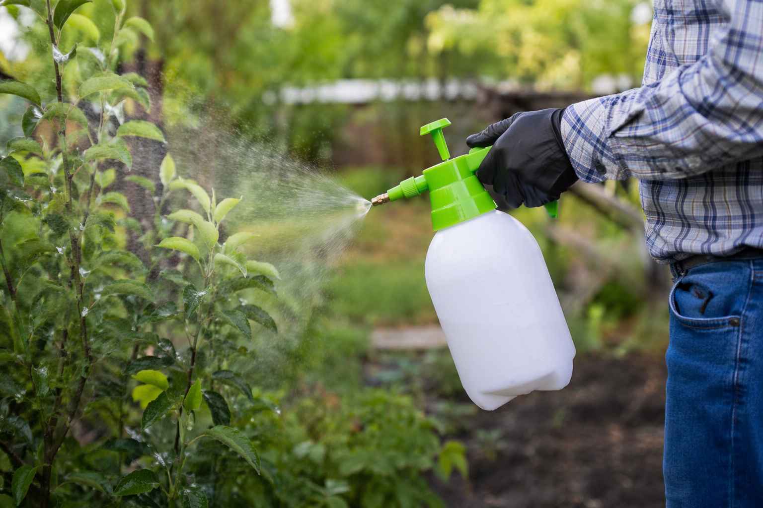 Do czego przydaje się opryskiwacz ciśnieniowy na działce i przy domu