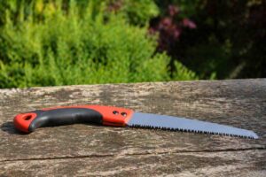 Jaką piłę ogrodową wybrać do przycinania drzew i krzewów?